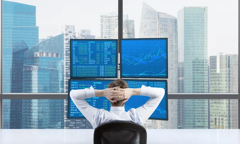 Project portfolio management and the portfolio manager's role