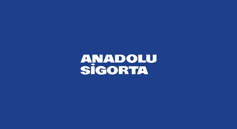 Anadolu Sigorta insurance workflow project