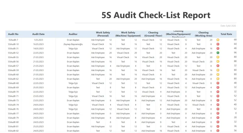 Audit results: detailed report